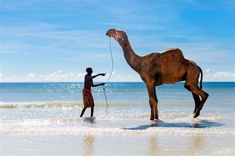 10 Surreal Beaches In Kenya That Portray The Soothing Side Of Africa ...