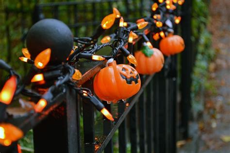 Jack O Lantern & String Lights Decor Pictures, Photos, and Images for ...