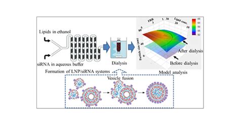 Characterization of Lipid Nanoparticles Containing Ionizable Cationic Lipids Using Design-of ...