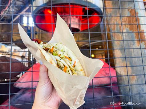 REVIEW: Ronto Wrap From Star Wars: Galaxy’s Edge in Disney World ...