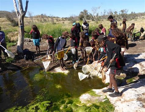 Young Aboriginal students investigate damage to desert by feral camels | SBS NITV