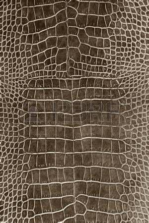 dark brown crocodile skin texture as a wallpaper Stock Photo | Skin textures, Crocodile skin ...