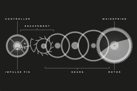 A Guide To Mechanical Watch Movements | Calibre | Watches Of Switzerland US