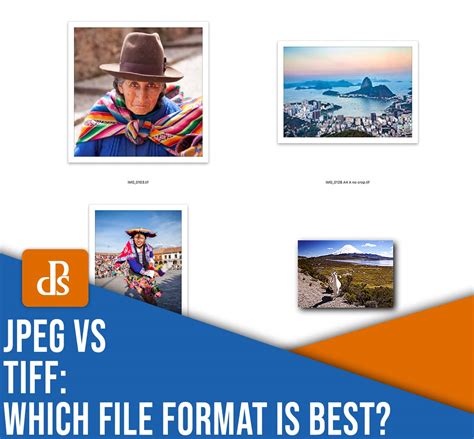 JPEG vs TIFF: Which File Format Is Best?