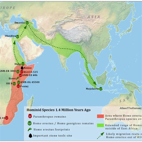 Homo Erectus Migration