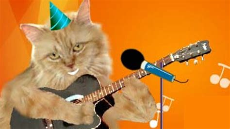 Cats Singing Happy Birthday Ecard Cat Meme Stock Pictures And Photos | The Best Porn Website