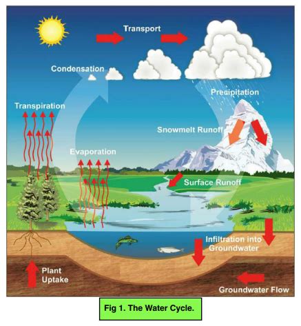 Sublimation Diagram Water Cycle