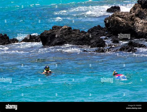 Swimmers snorkeling, Hapuna Beach, Kohala Coast, Hawai'i, USA Stock Photo - Alamy