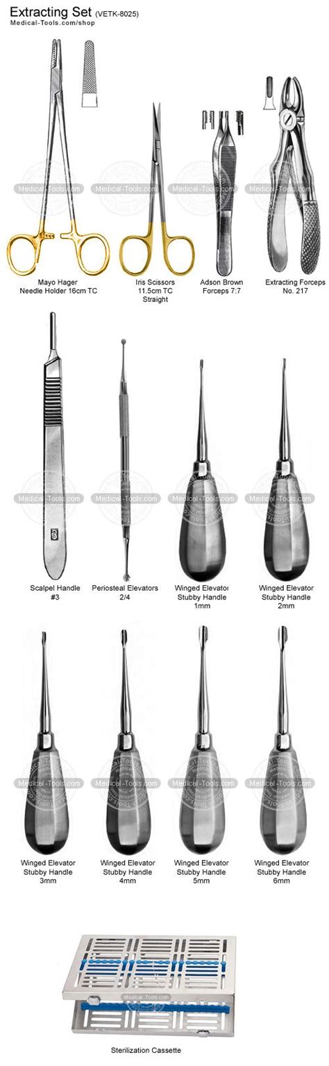 Small Animal Dental Extraction Set | Dental extraction, Dental tools, Dental videos