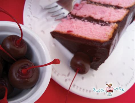 Bird On A Cake: Chocolate Covered Cherry Cake