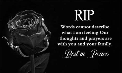 95+ Emotional and Heart-touching RIP Quotes for Friend