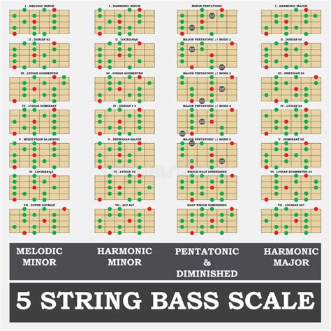 5 String Bass Scale Minor for Bass Player Teacher Stock Illustration - Illustration of melodic ...