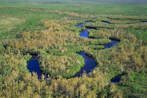 About The River - Loxahatchee River District