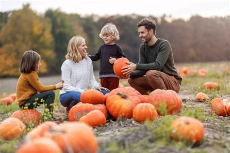 6 Charming Pumpkin Patches Around Seattle For Visiting This Fall