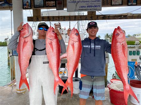 Queen Snapper Fishing in the Florida Keys - Main Attraction Fishing