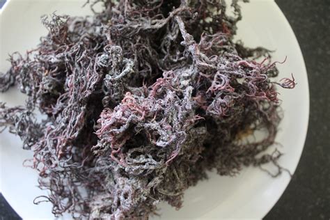 Purple Sea Moss – Daleys Nutrition