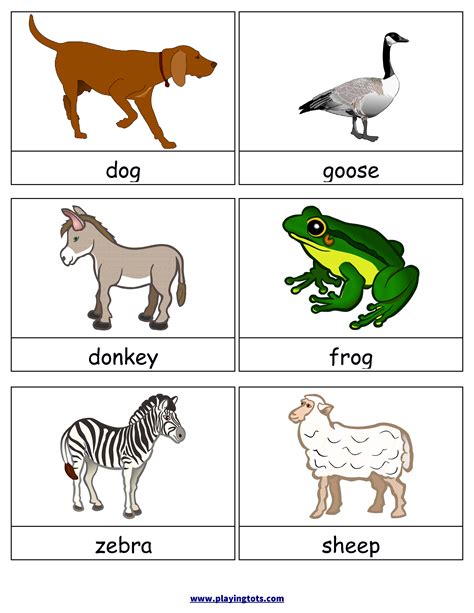 free printable animals flash cards | Animal flashcards, Flashcards for ...