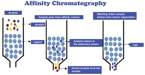 Chromatography Definition - JavaTpoint