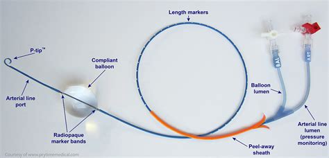 REBOA: A Comparison Of The Hardware From Two Companies | The Trauma Pro