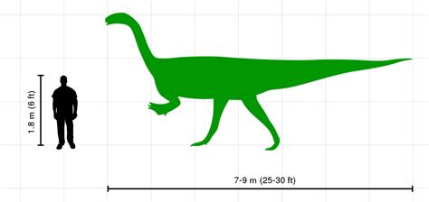 File:Human-plateosaurus size comparison.svg - Wikipedia