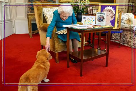 The Queen's corgis: How many dogs did she have and who will look after them now? | GoodtoKnow