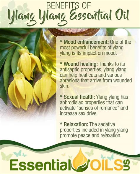 5 Ylang Ylang Diffuser Blends and Benefits