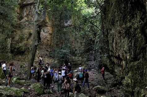 Heat, drought, fires threaten Lebanon's northern forests - Al-Monitor ...