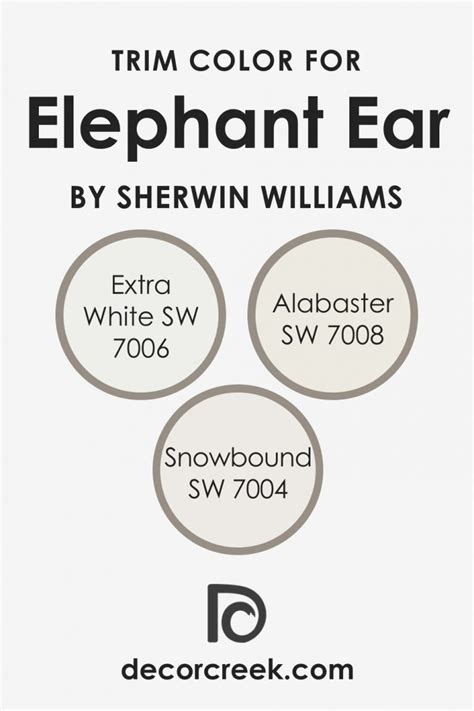 Elephant Ear SW 9168 Paint Color by Sherwin-Williams