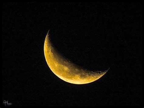 Yellow Moon Photograph by Glenn Feron