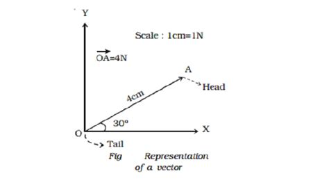 Representation of a vector quantities