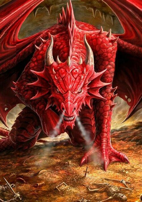 Red Dragon protects hoard - Pathfinder PFRPG DND D&D d20 fantasy | Dragon sketch, Dragon drawing ...