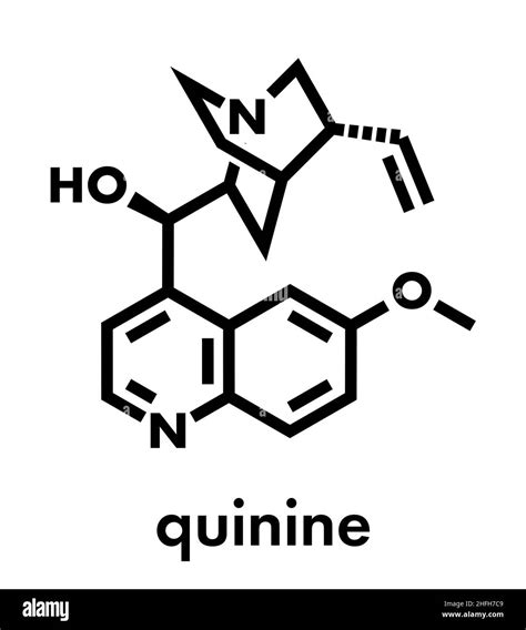 Quinine malaria drug molecule. Isolated from cinchona tree bark. Skeletal formula Stock Vector ...
