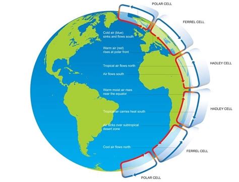 What are the global wind belts? | Socratic