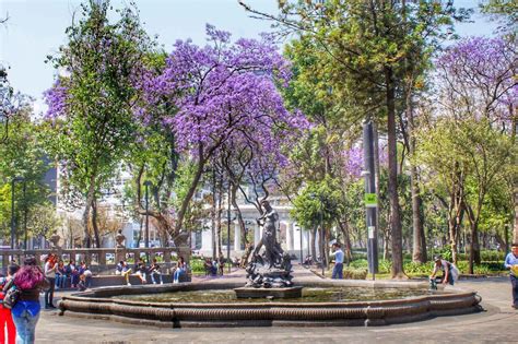 Alameda Central | Things to do in Cuauhtémoc, Mexico City