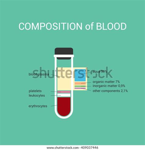 Composition Human Blood Plasma Stock Vector (Royalty Free) 409037446