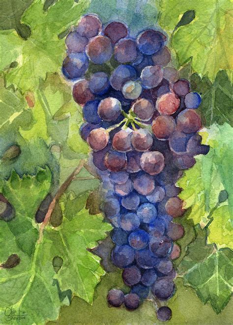 Watercolor Grapes Painting Painting by Olga Shvartsur