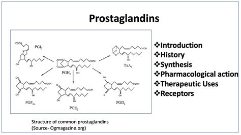 Prostaglandins- Synthesis, Actions and Uses - BioPharma Notes