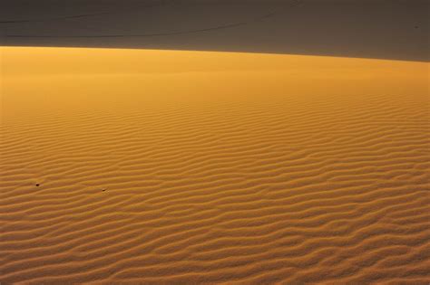 Into the Desert: Sahara Dunes and Surrounding Scenes | Simplicity Relished