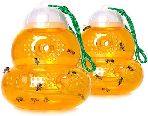 Buy Wasp Trap Bee Traps Jar | Hornet Trap Yellow Jacket Trap Attracts ...