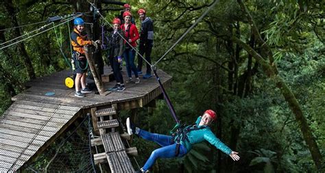 Ziplining in Rotorua | Everything New Zealand