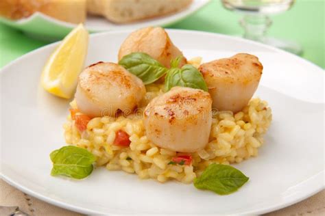 Scallops Risotto stock photo. Image of lemon, wine, drink - 13429024