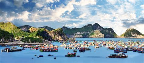 Exclusive Travel Tips for Cat Ba Island in Vietnam