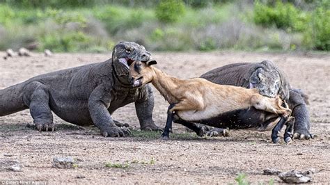 La naturaleza me gustaba de pequeño. Ahora la odio (tema serio ...