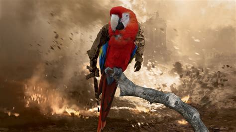 Scarlet Macaw Wallpapers - Wallpaper Cave