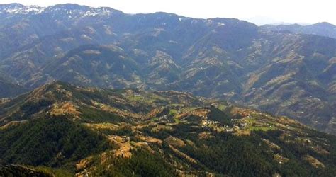 Shali Tibba Peak Hike - The Best Day Trek Around Shimla | Shali peak trek | shali peak hike ...