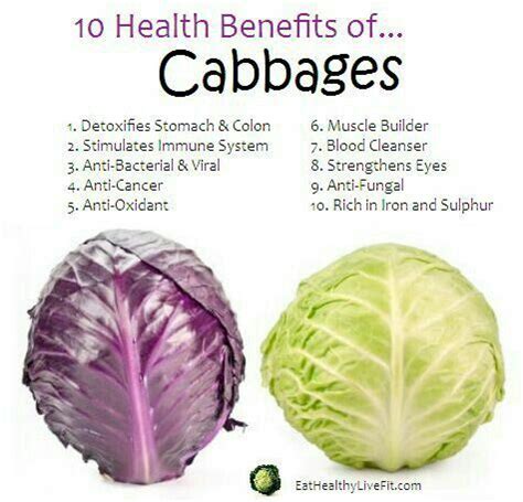 Cabbages to cook them or make my famous purple cabbage slaw. | Cabbage health benefits, Coconut ...