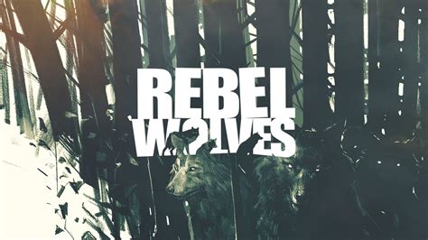 New: Rebel Wolves Developer (former Witcher 3/Cyberpunk staff) | Union ...