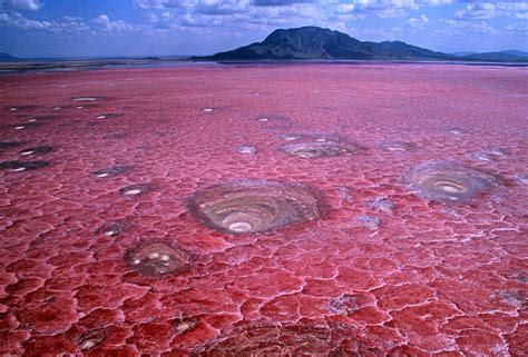 Lake Natron [1000x679] : HellscapePorn