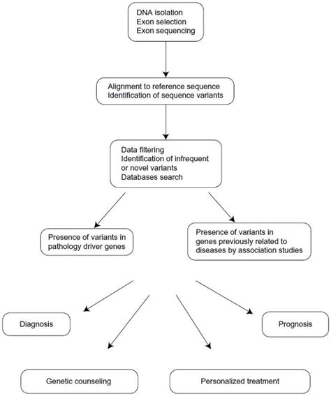 Exome sequencing data analysis workflow (courtesy: dovepress.com) | Download Scientific Diagram