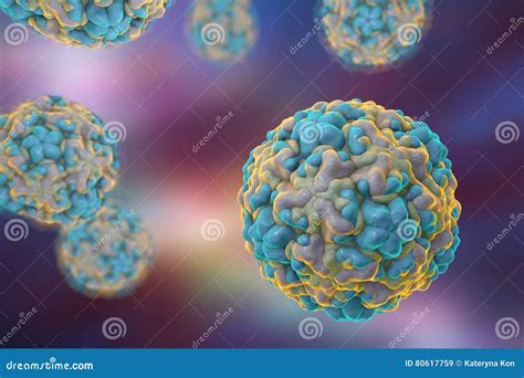 Rhinoviruses, Viruses of Common Cold Stock Illustration - Illustration of health, human: 80617759